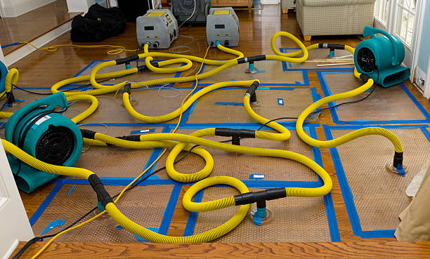 Professional Basement Flood Cleanup technician working in Vesper, WI
